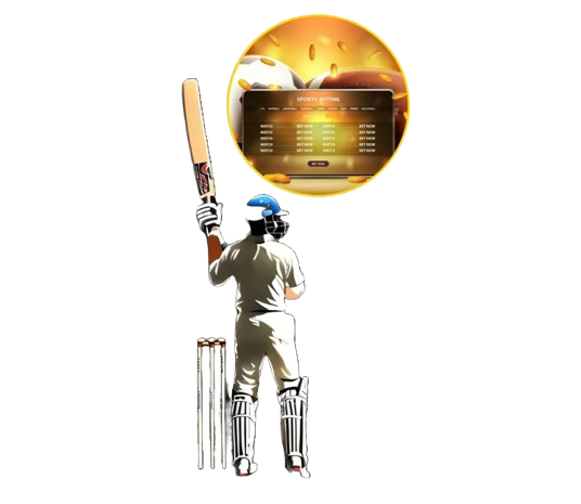 Who we are Decorative Banner